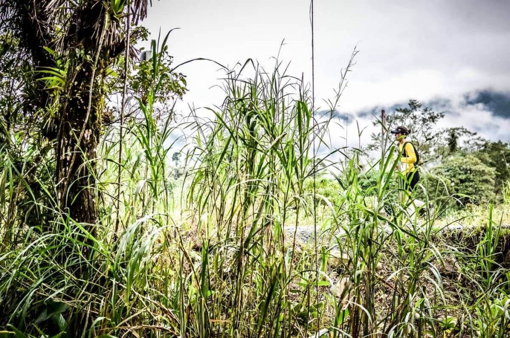 12510105_972051412870361_1739902863_o (1)