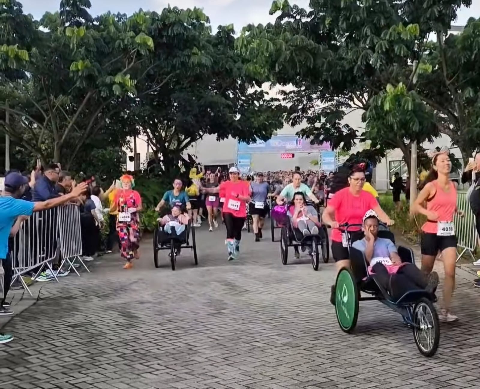 Edição da Corrida das Mulheres na Pista, em Joinville, é sucesso 